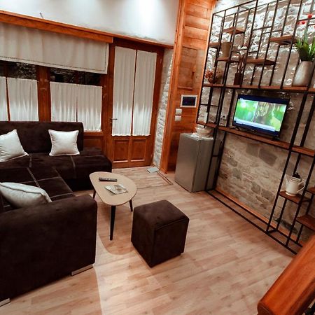 Duplex Apartment Viktoria ジロカストラ エクステリア 写真